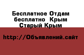 Бесплатное Отдам бесплатно. Крым,Старый Крым